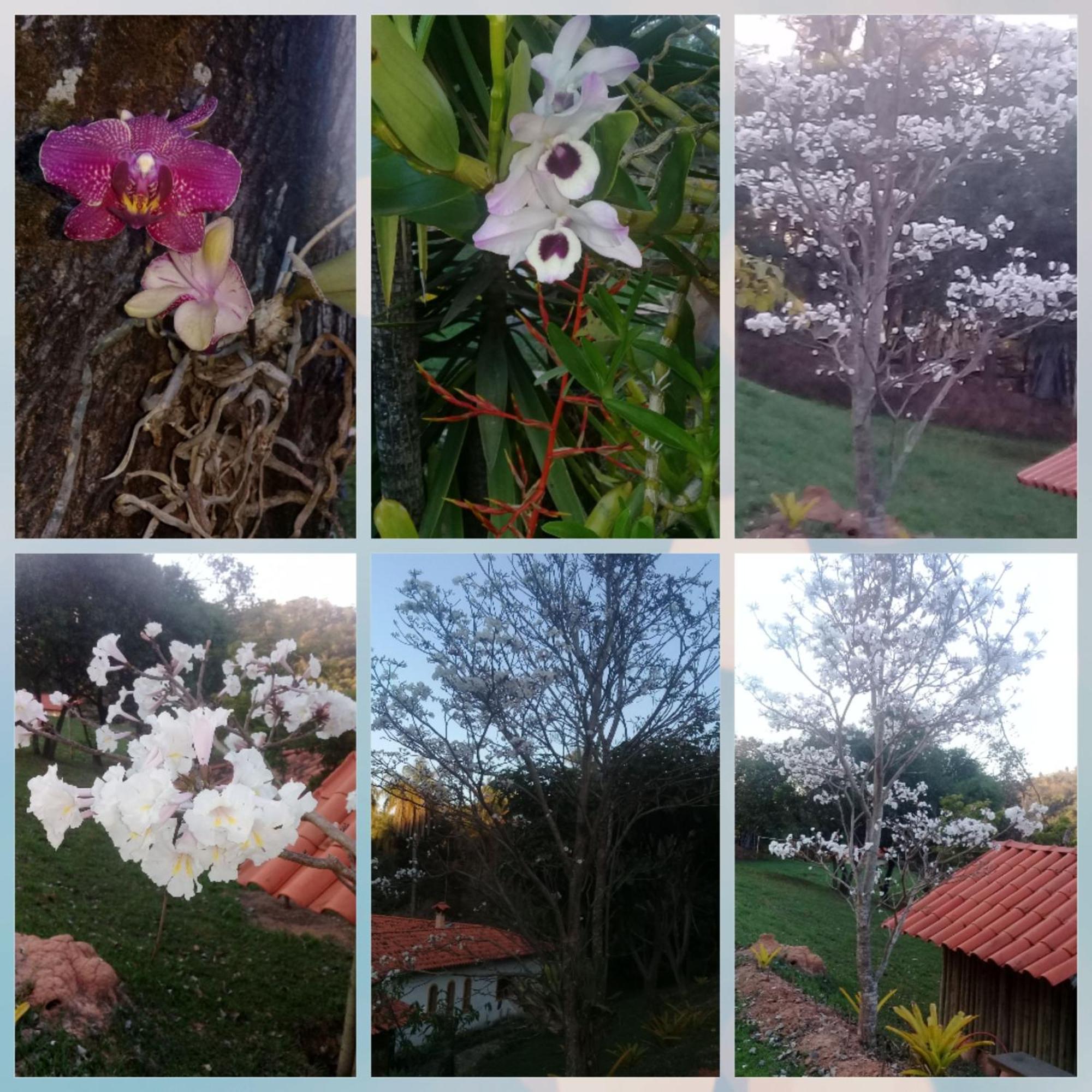 Pousada Rancho Flores Caete Luaran gambar