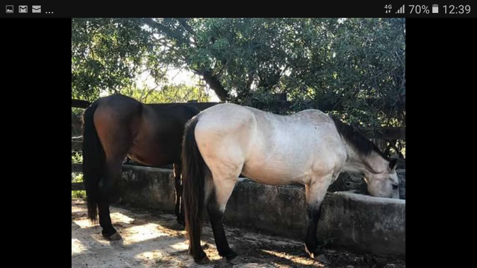Pousada Rancho Flores Caete Luaran gambar