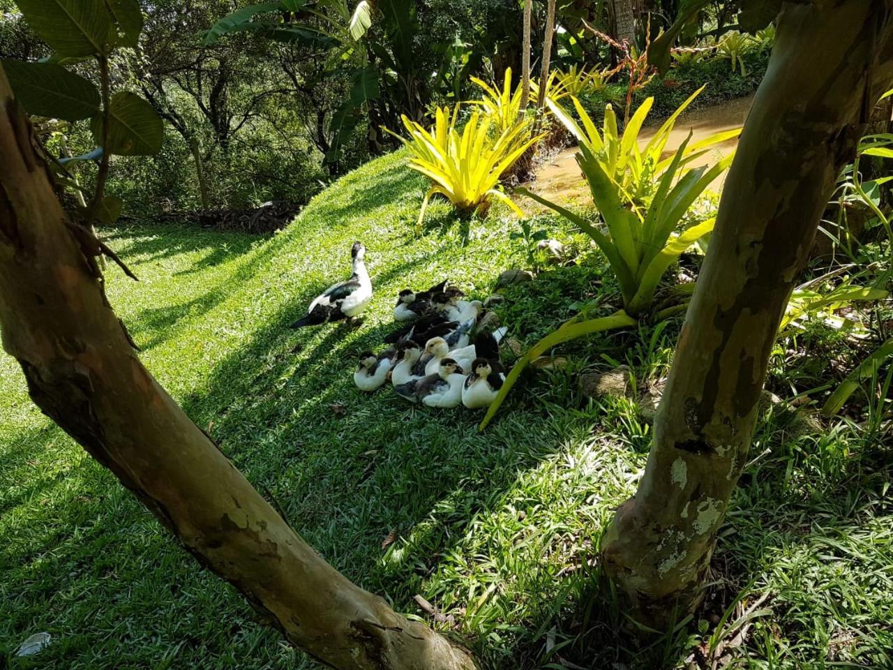 Pousada Rancho Flores Caete Luaran gambar