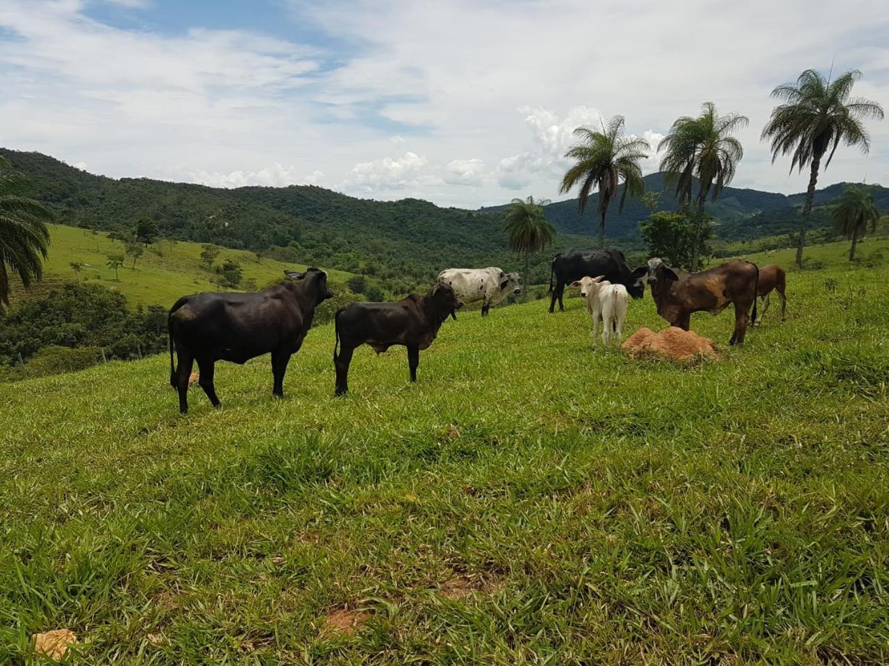 Pousada Rancho Flores Caete Luaran gambar